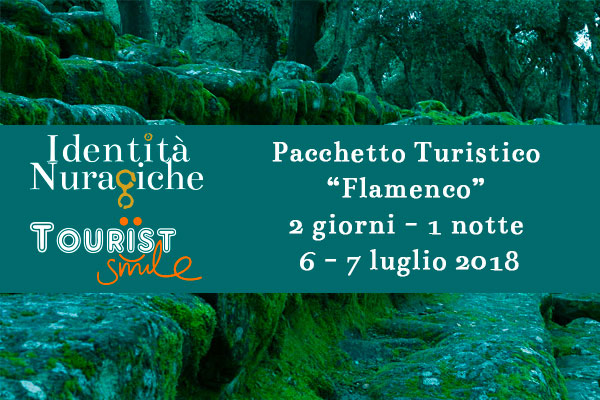 Pacchetto Minibus + pernottamento 2 notti + ticket concerto + ticket musei